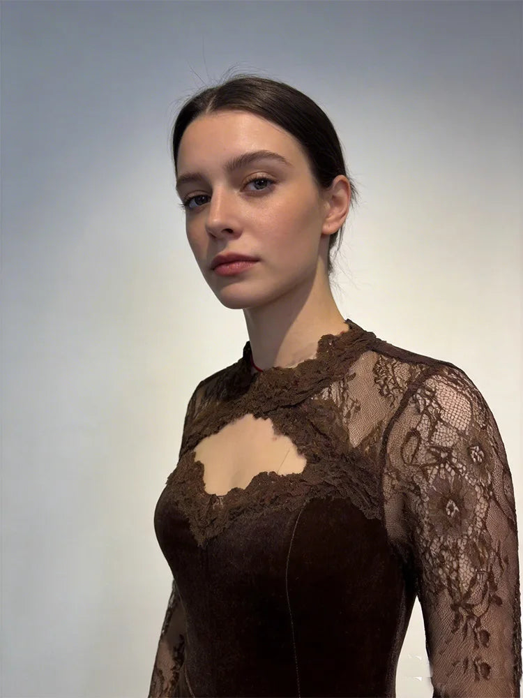 Women's V-Neck Long Sleeve Lace Sheer Bodycon Dress Sexy Transparent Casual A-Line Mid-Length Designer Luxury Dress