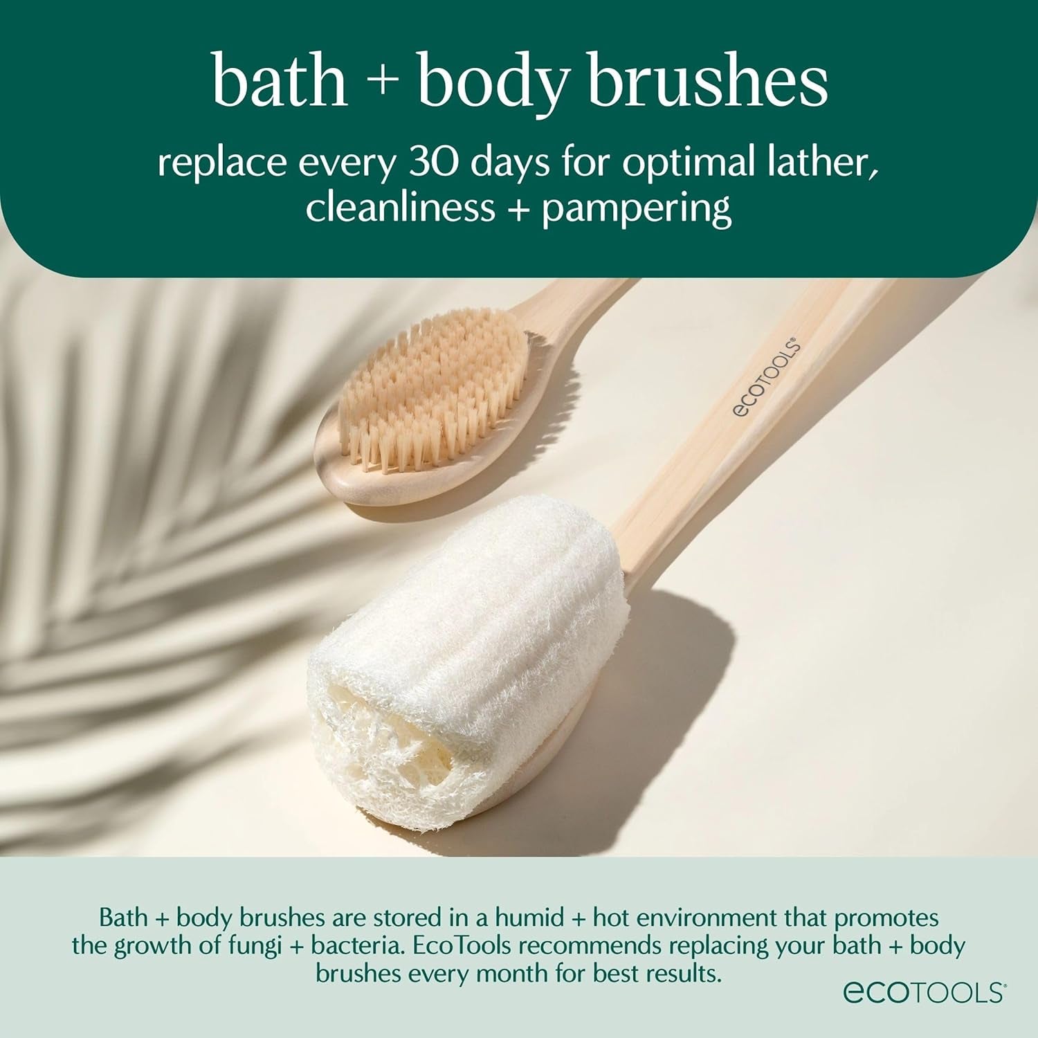 Dry Body Brush, Cruelty-Free Bristles Exfoliate & Smooth Skin, Dry Brushing Removes Flaky Skin, May Help Improve Circulation & Tone, Vegan & Cruelty-Free, 1 Count
